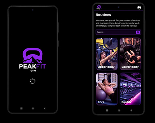 PeakFit